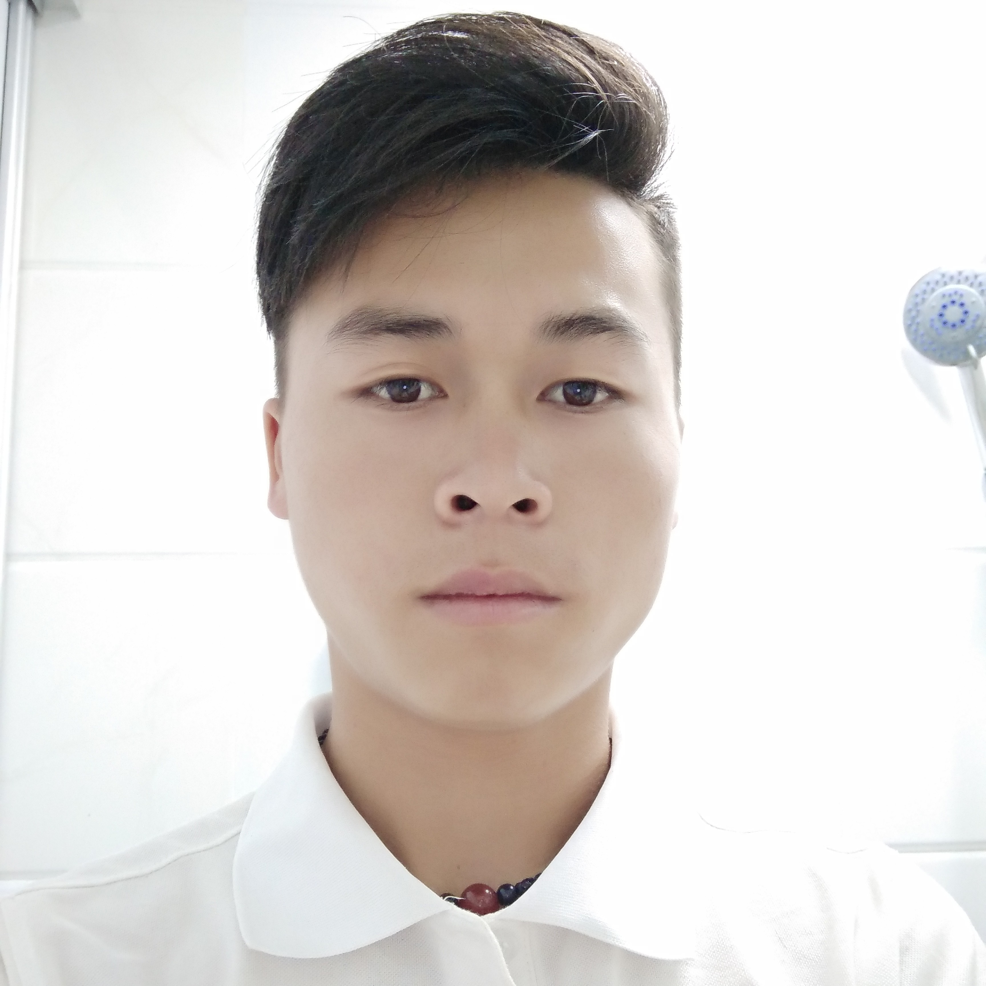 迷 离的照片
