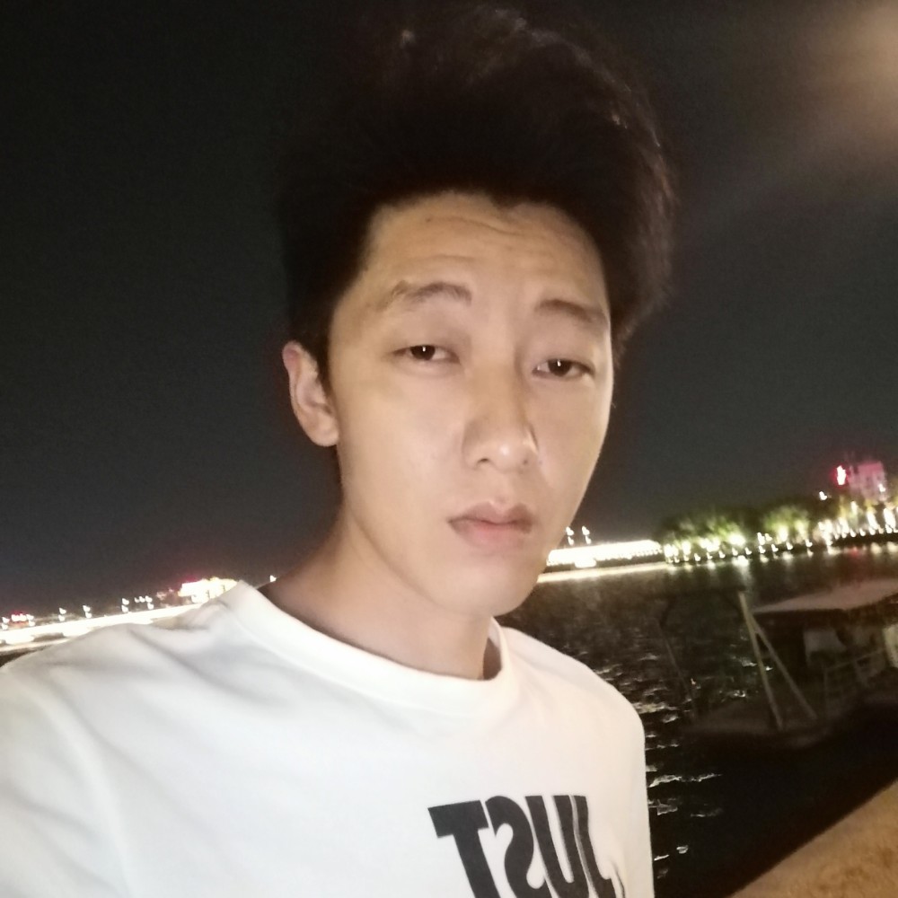 小海豚浅吻幽默的照片