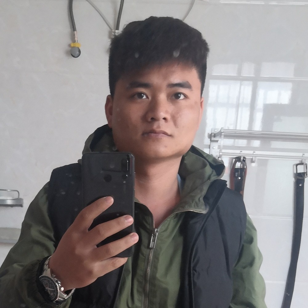 蚂蚁的清脆的照片