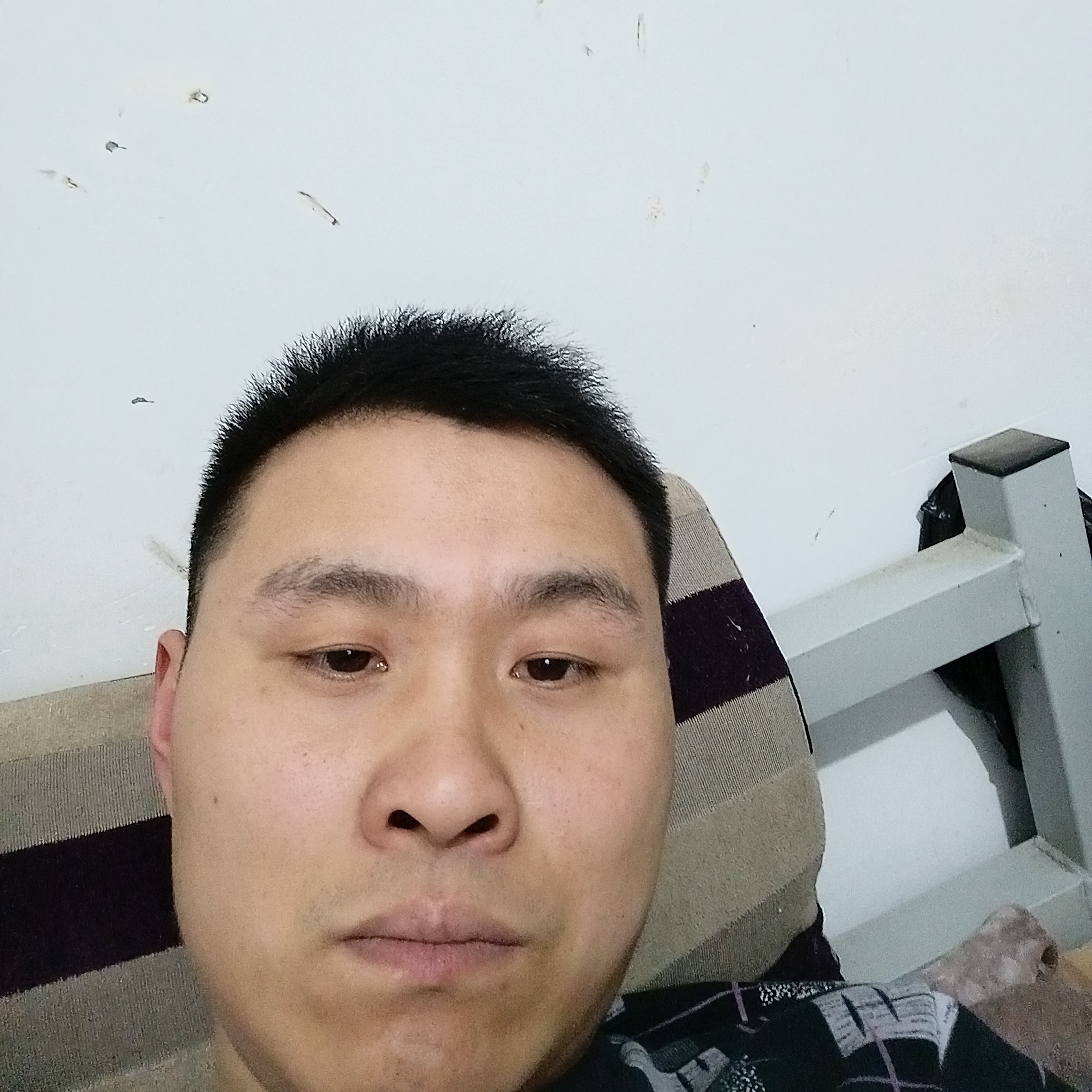 蜜粉那妩媚的照片