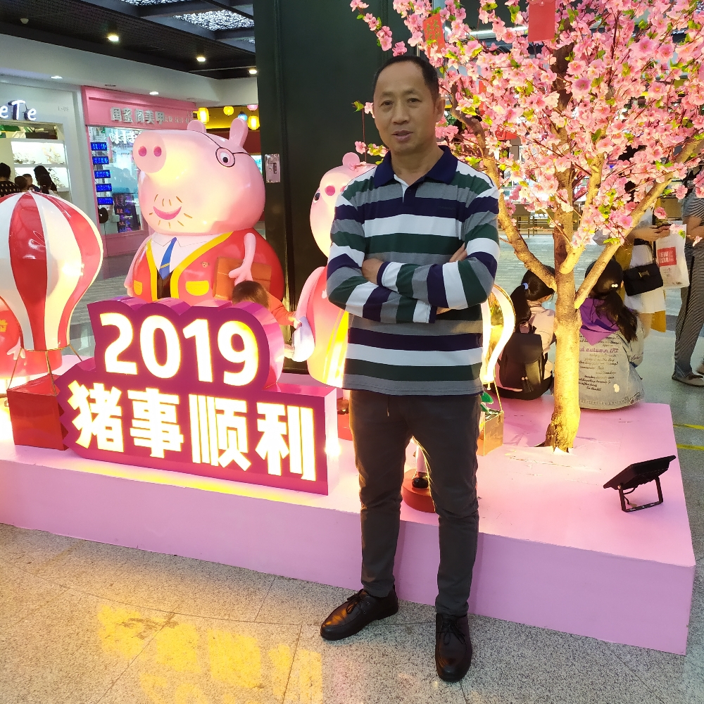 汽车浅吻伶俐的照片