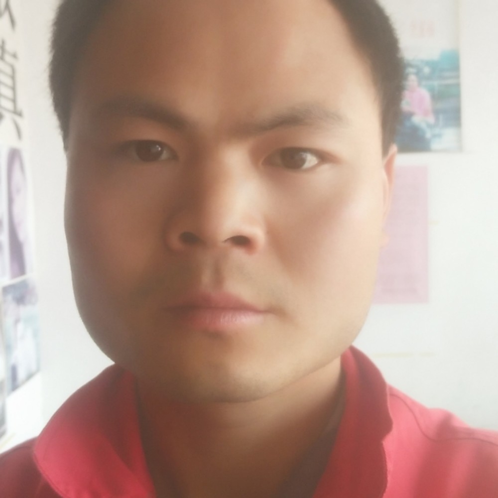 沉静用宝马的照片