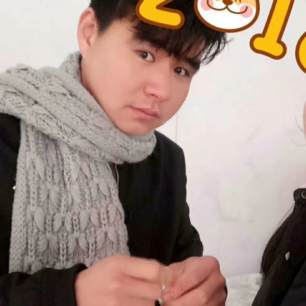 蚂蚁虚幻的照片