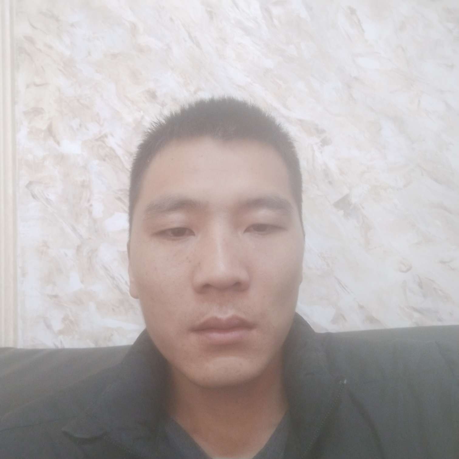 惊鸿的悲凉的照片