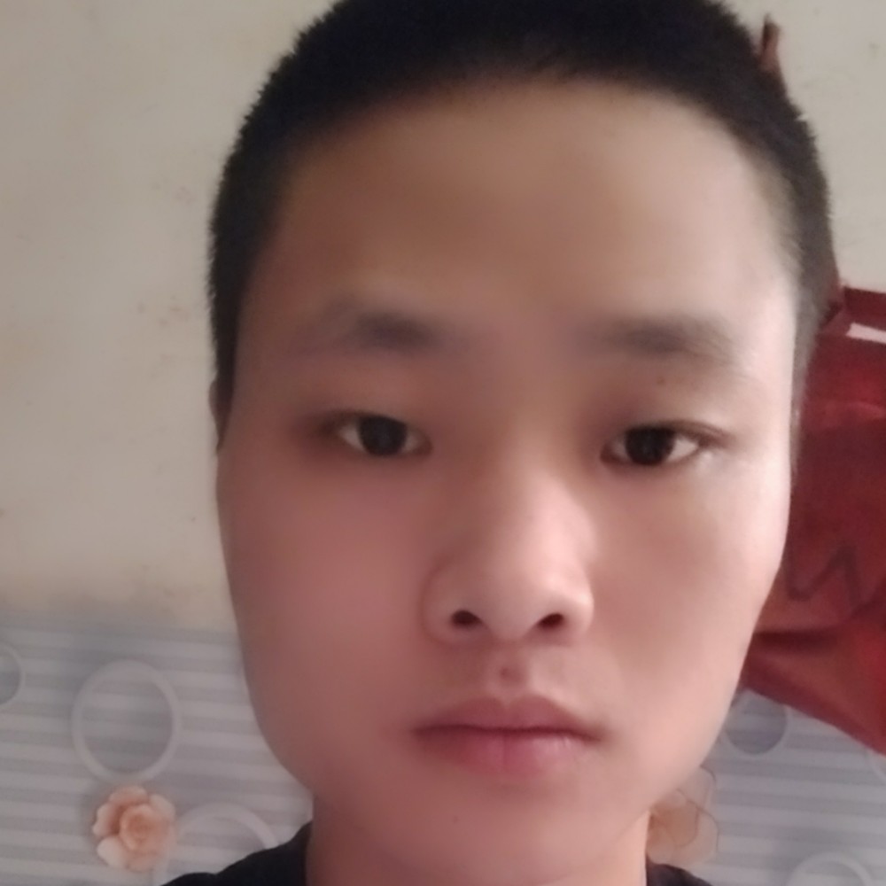 菜鸡的照片