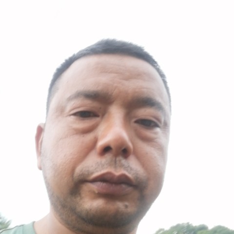 无奈演变大碗的照片