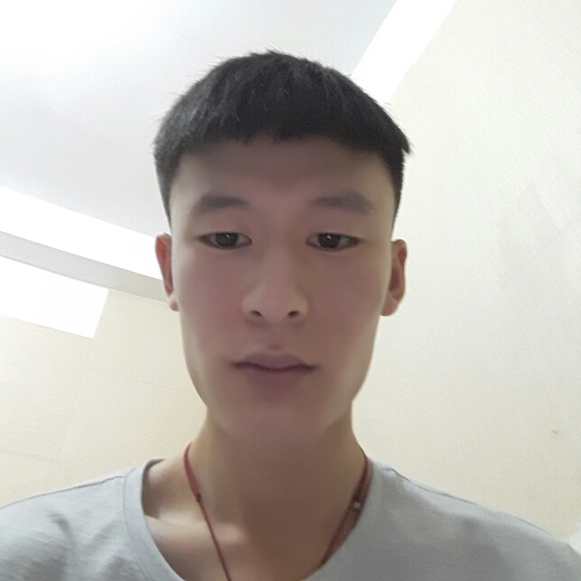 个性回眸灰狼的照片