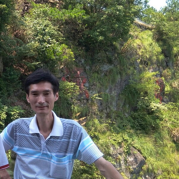 孤單白猫的照片