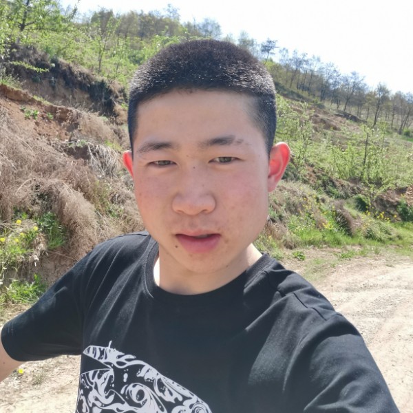 朕带你打天下的照片