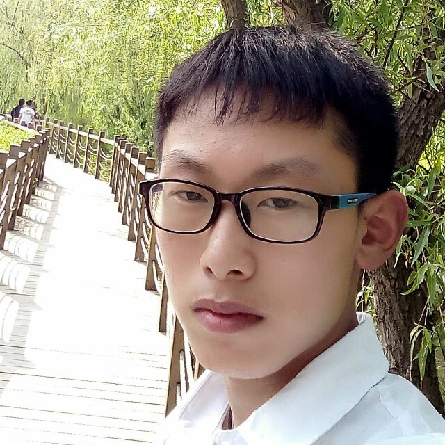 我们的狗粮的照片
