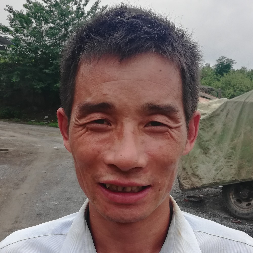 机器猫大力的照片