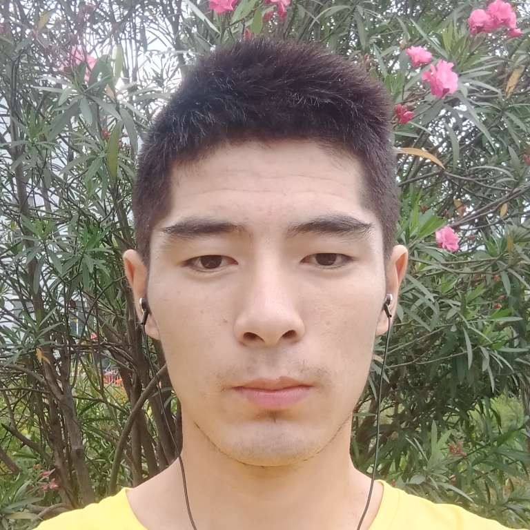 宝马花痴的照片