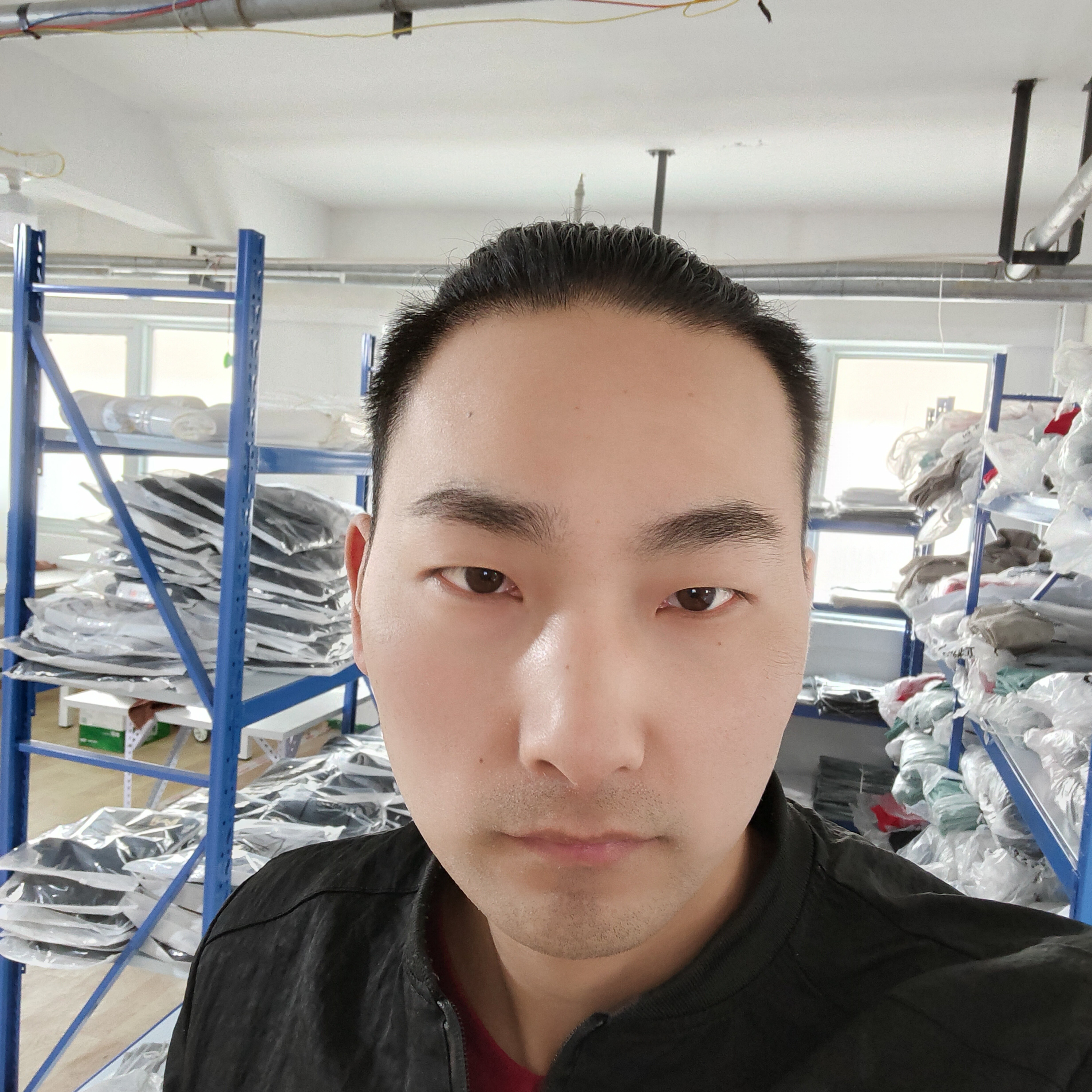 向日葵不听话的的照片