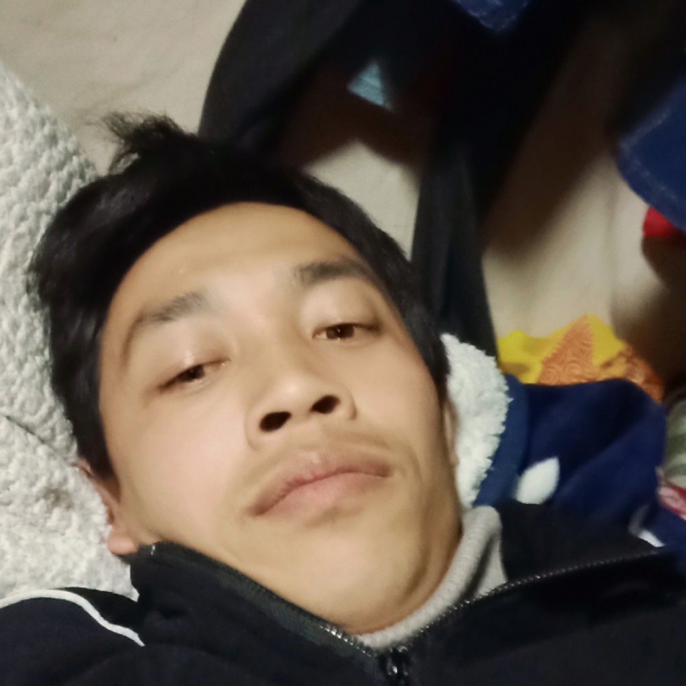 外向大象打工的照片