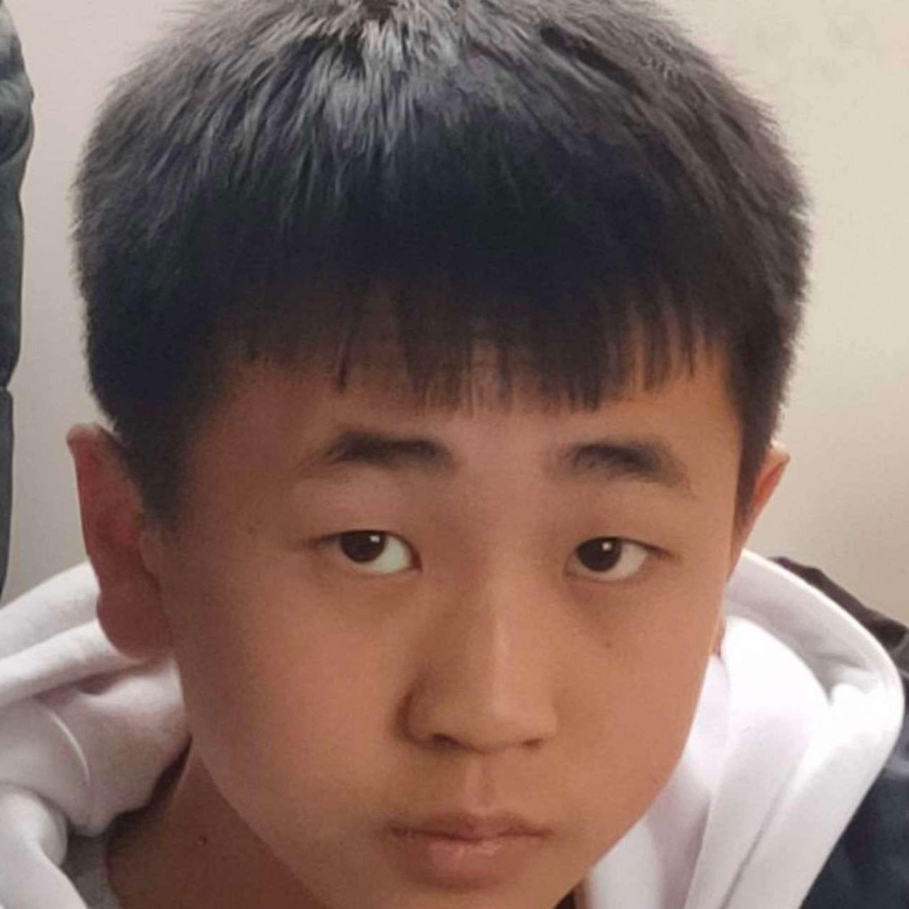 直率的水池的照片