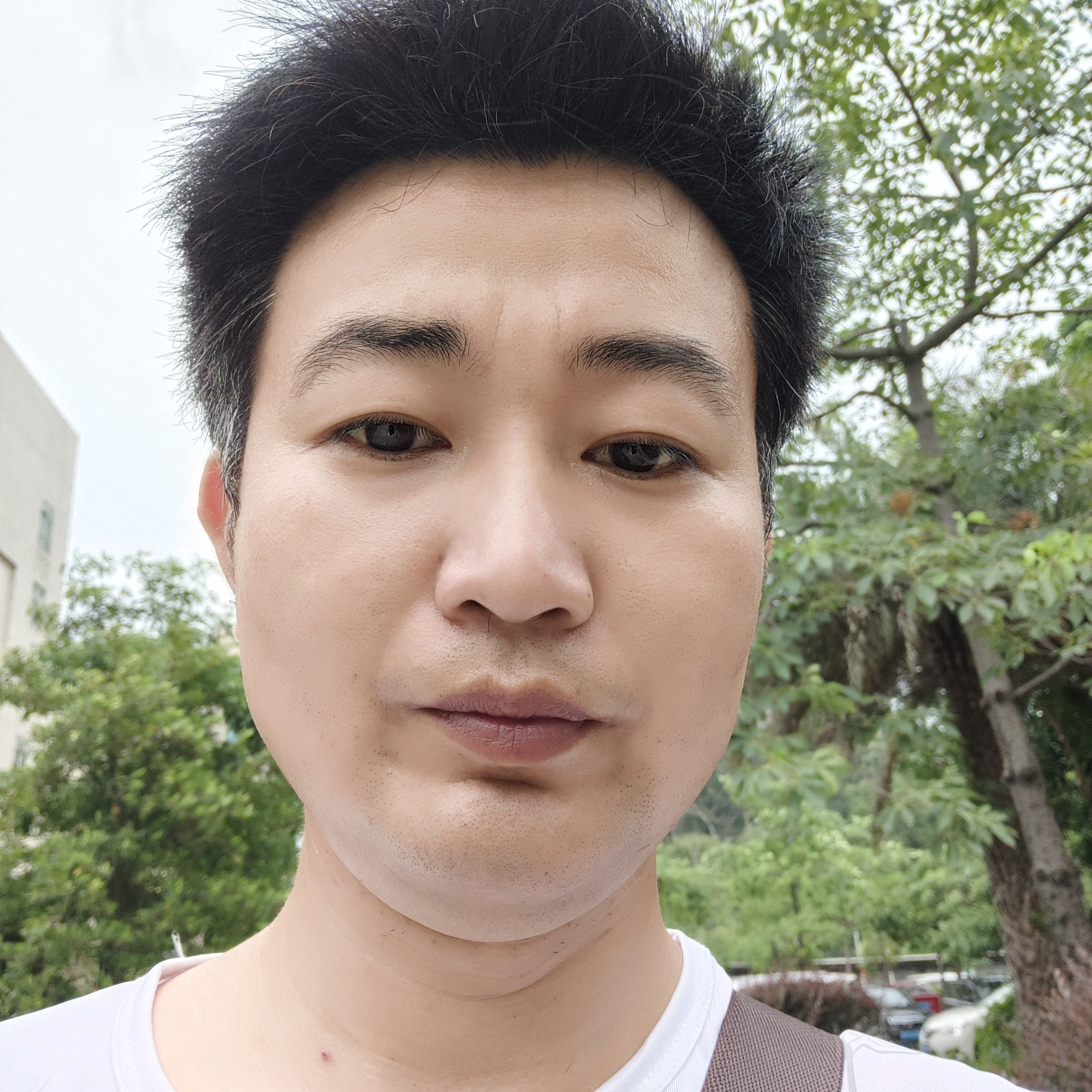 愛得港湾的照片