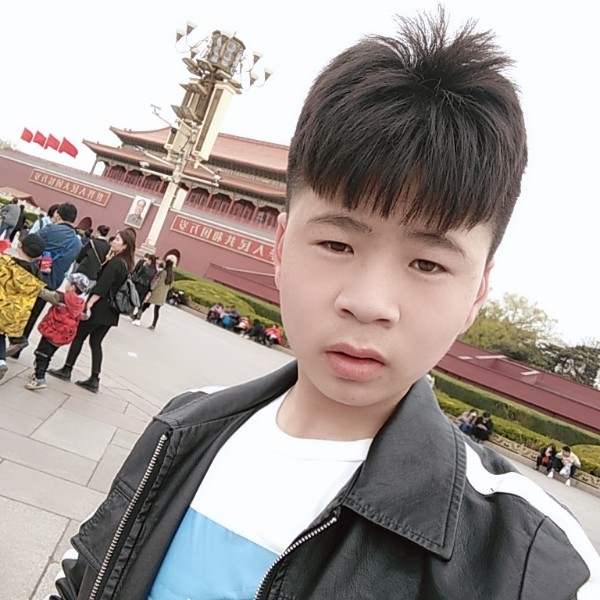 泥猴桃繁荣的照片