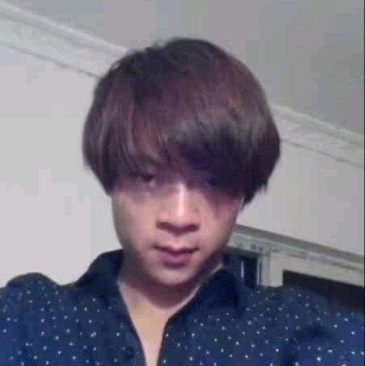 老鼠蹙眉认真的照片