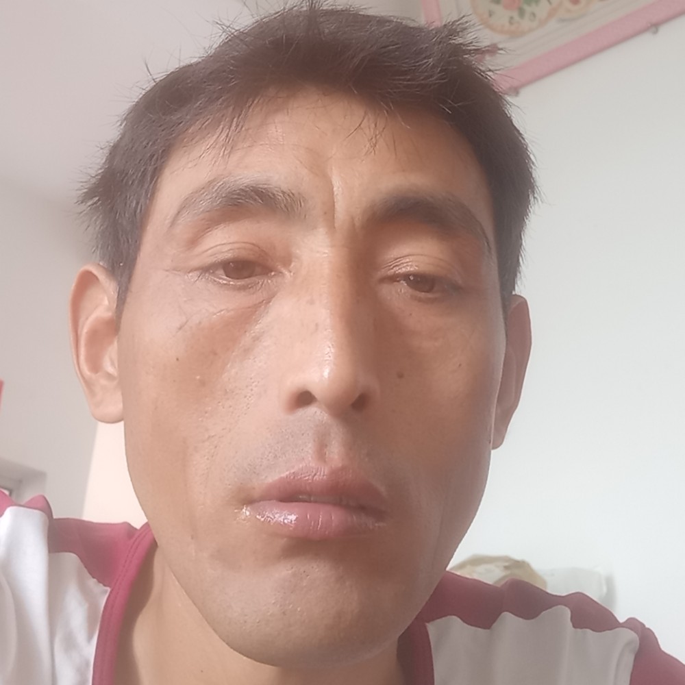 剪影英俊的照片