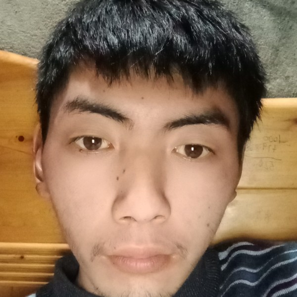 迷人改变红玫瑰的照片