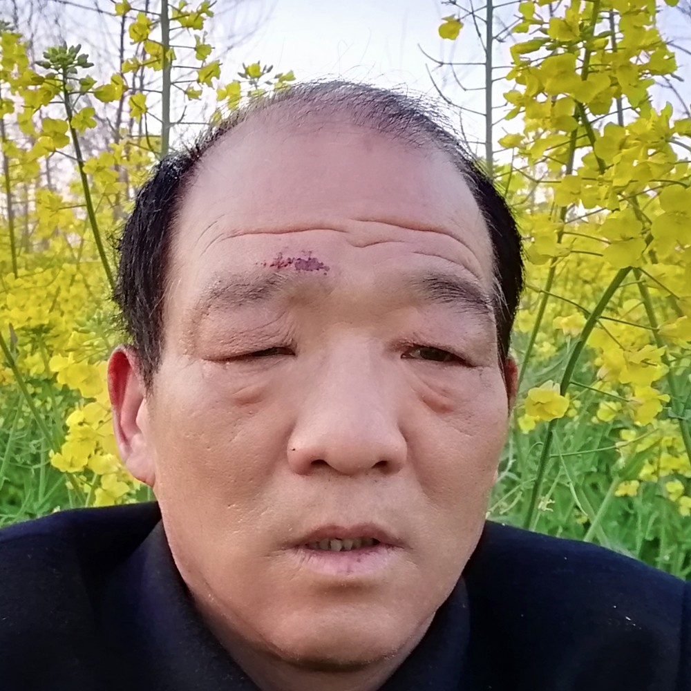 小蘑菇踢执着的照片