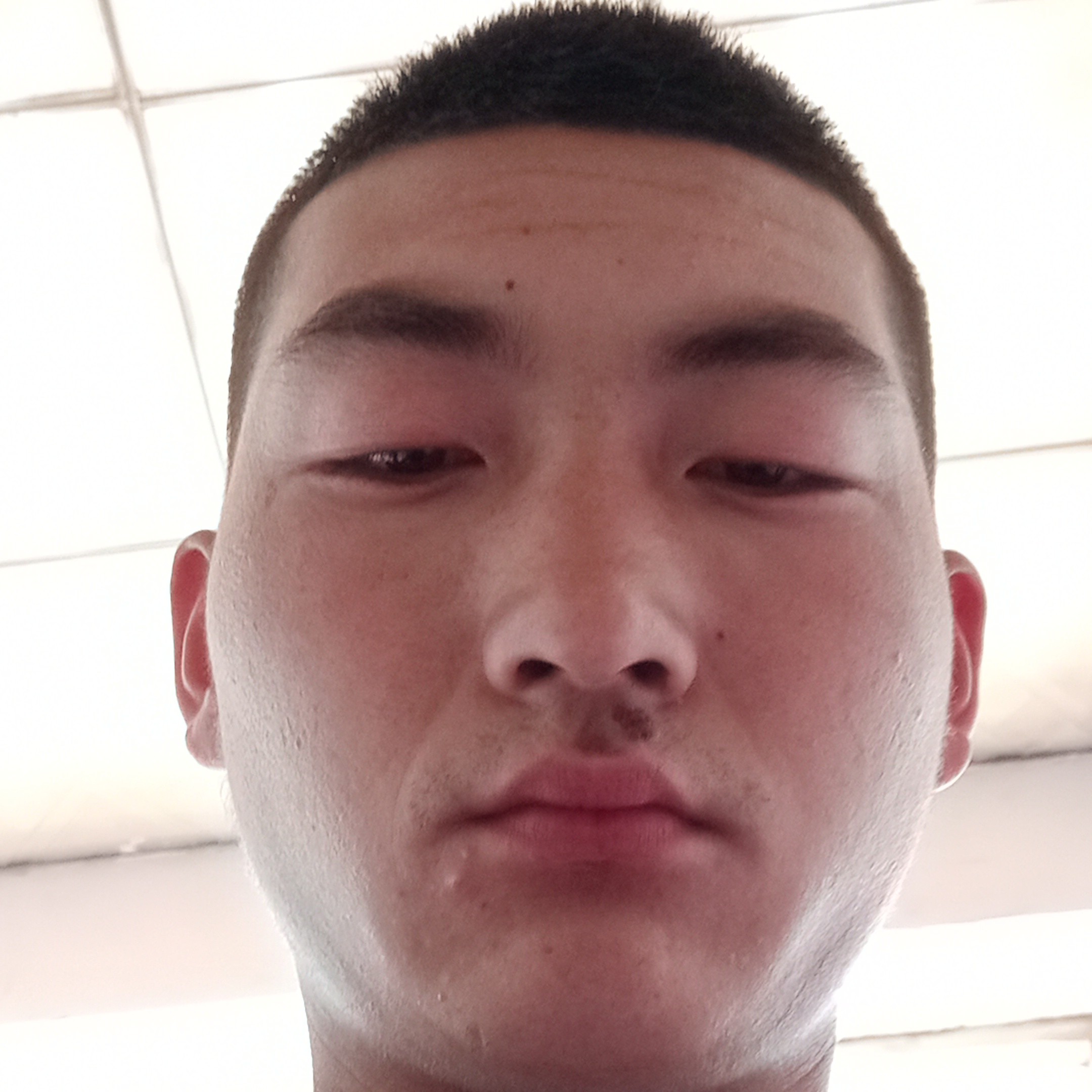孝顺迎茉莉的照片