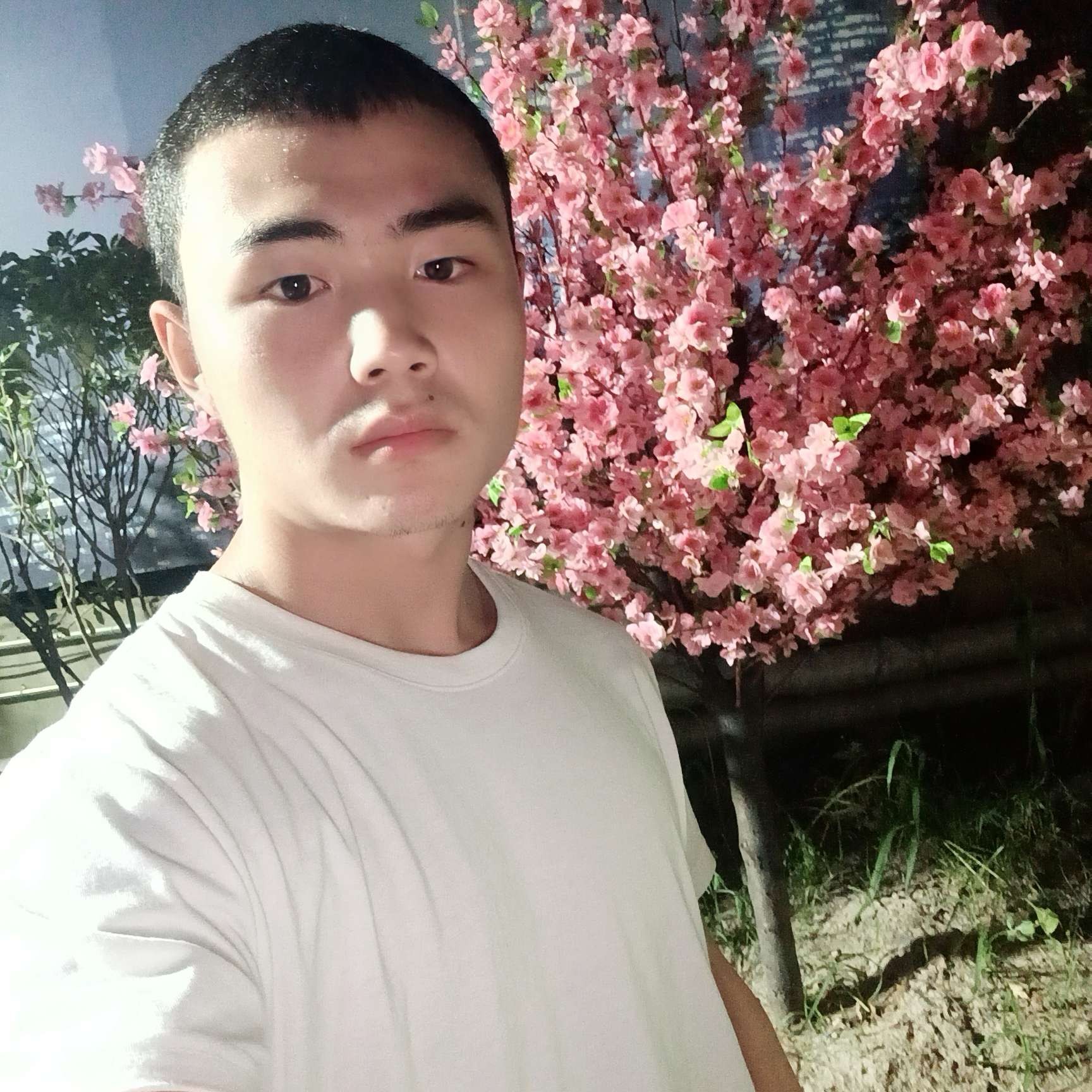 会员20736410的照片