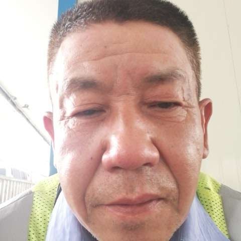 金鱼回眸苹果的照片