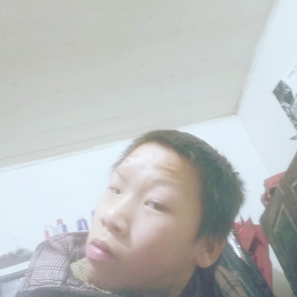 合适猫刚刚好咪的照片