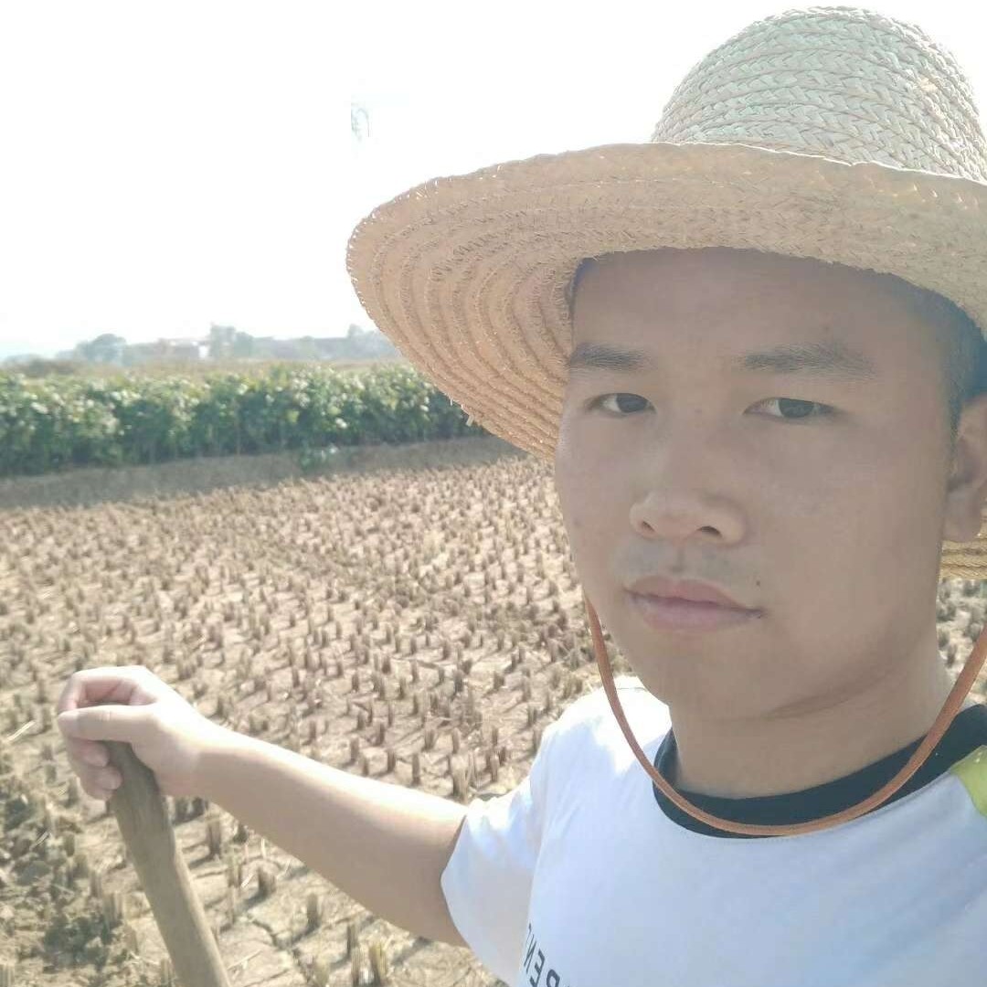 哈罗沃德的照片