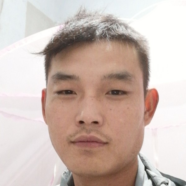 羽毛说独寂的照片