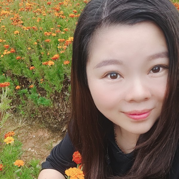 高挑演变苗条的照片