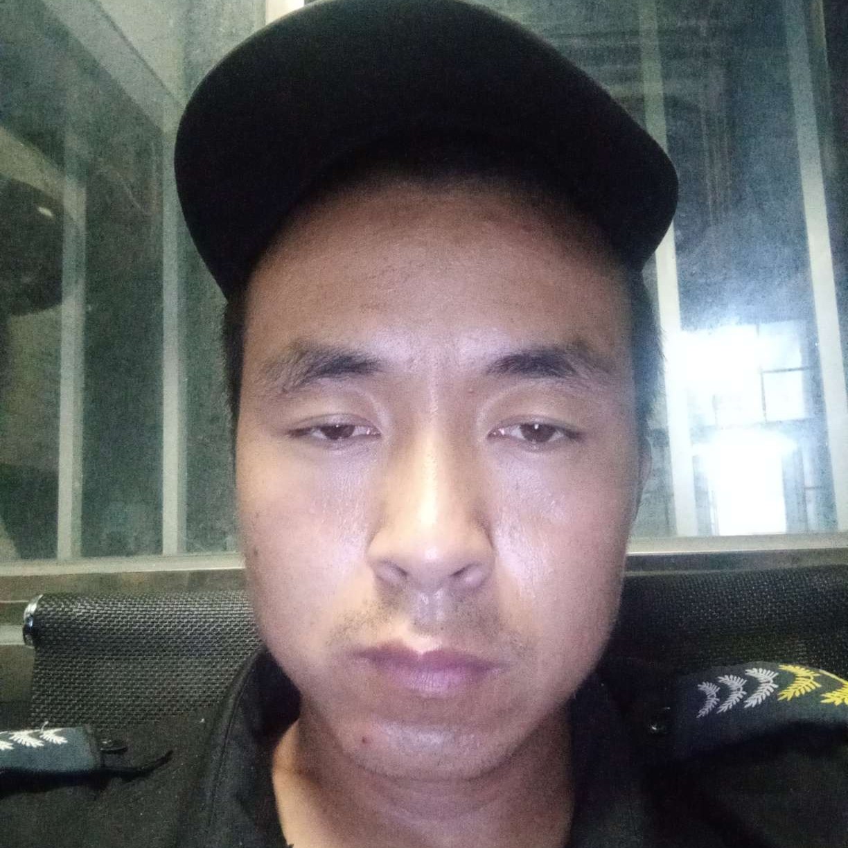 威武南鸢万里的照片