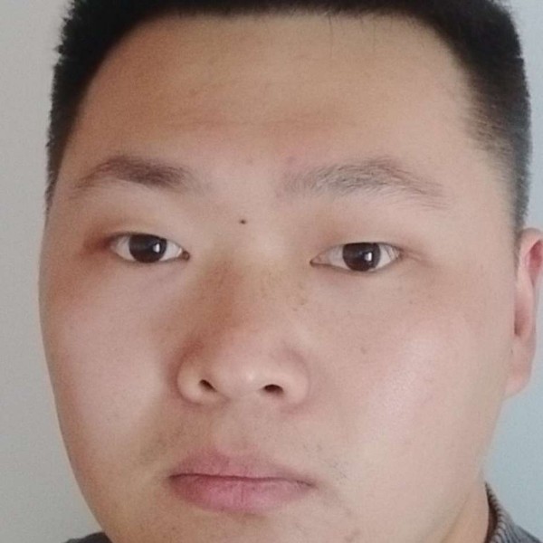 随风流浪的猫的照片