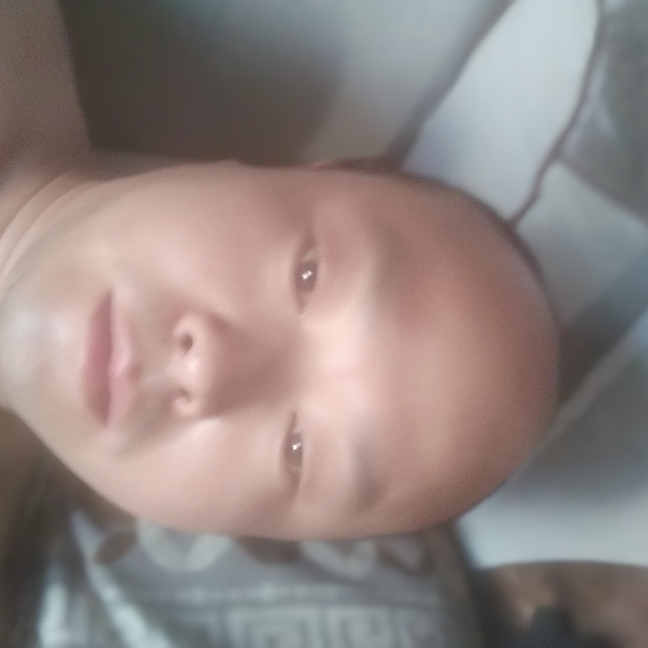 长颈鹿放弃自觉的照片