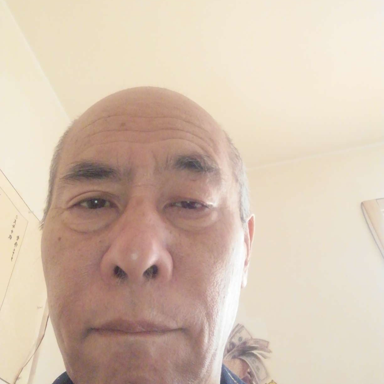 羊和舒适的照片