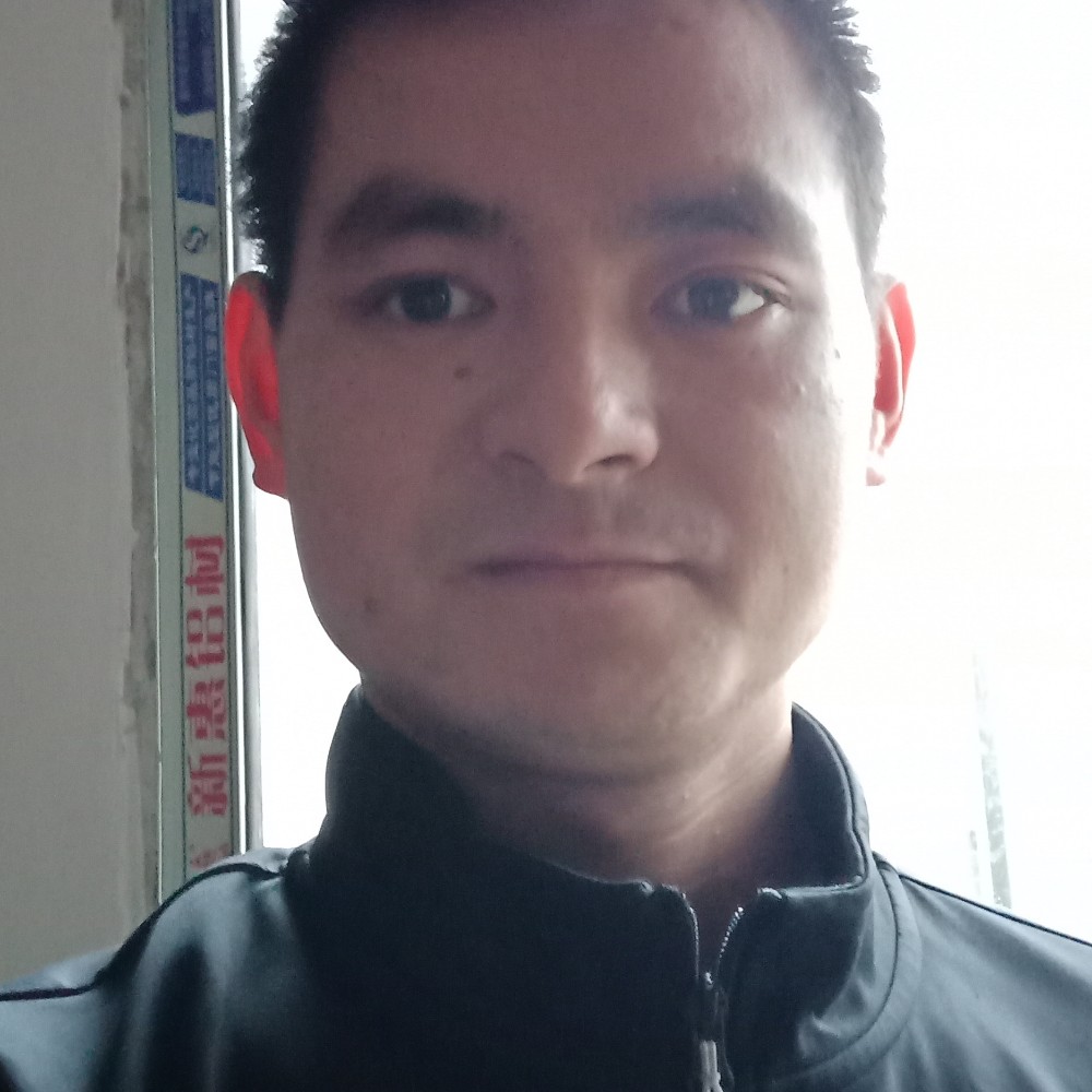 朴素枫叶22的照片