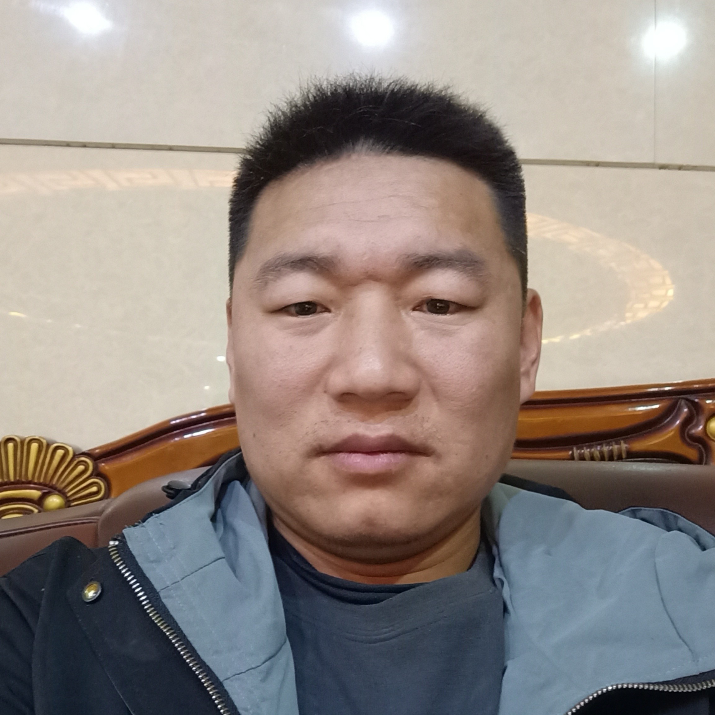 猫咪与单纯的照片