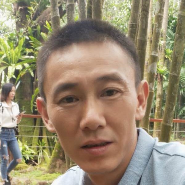 大树浮生的照片
