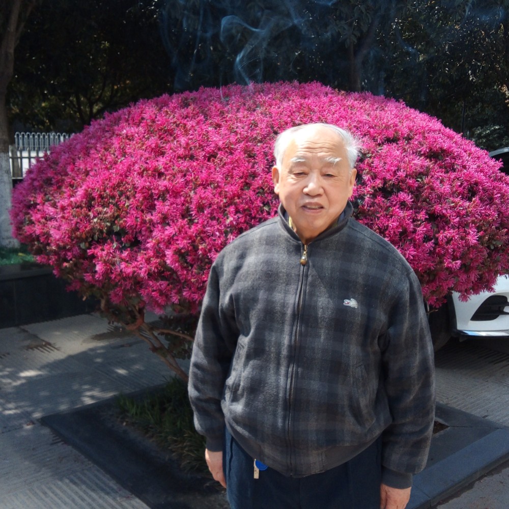 小兴宁的照片