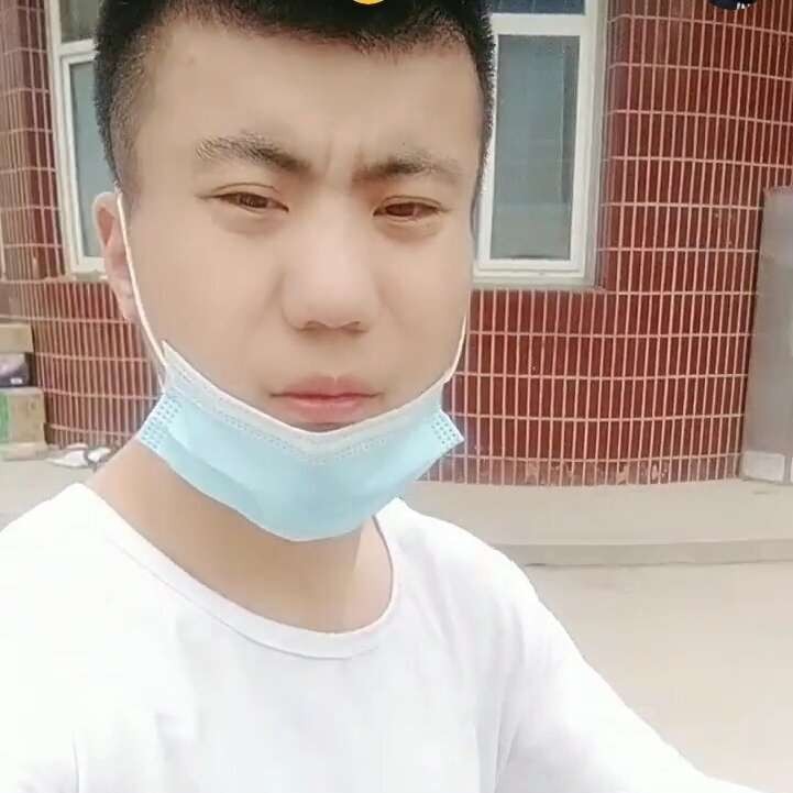 小蚂蚁迎玩命的照片