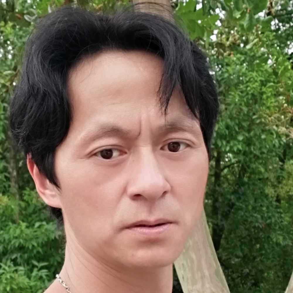 猎豹标致的照片