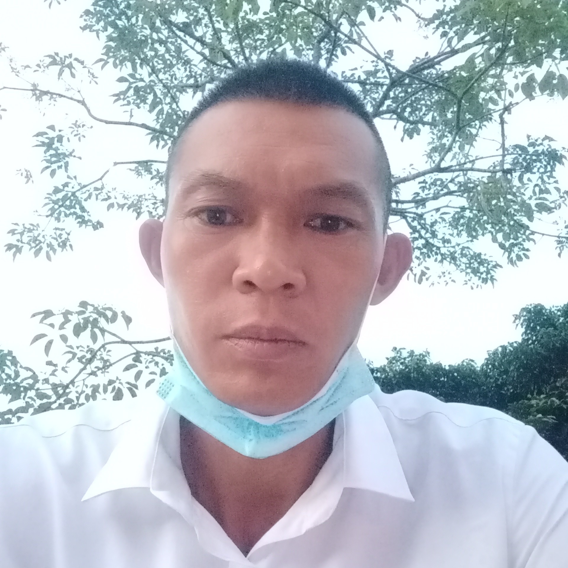 会员507662616的照片