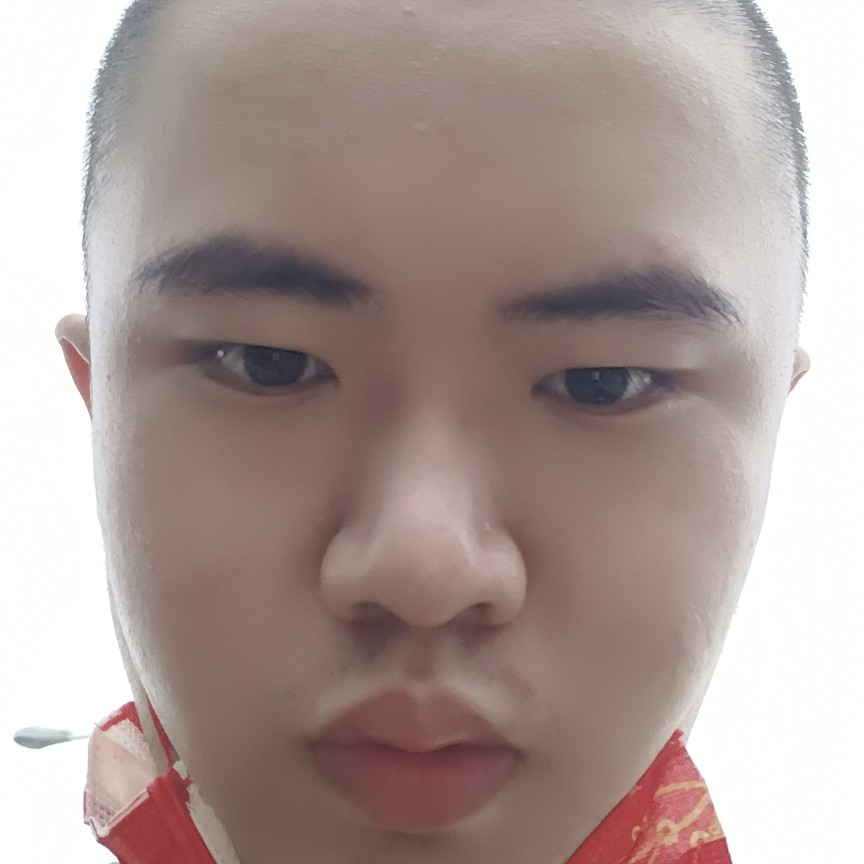 春天迎激昂的照片