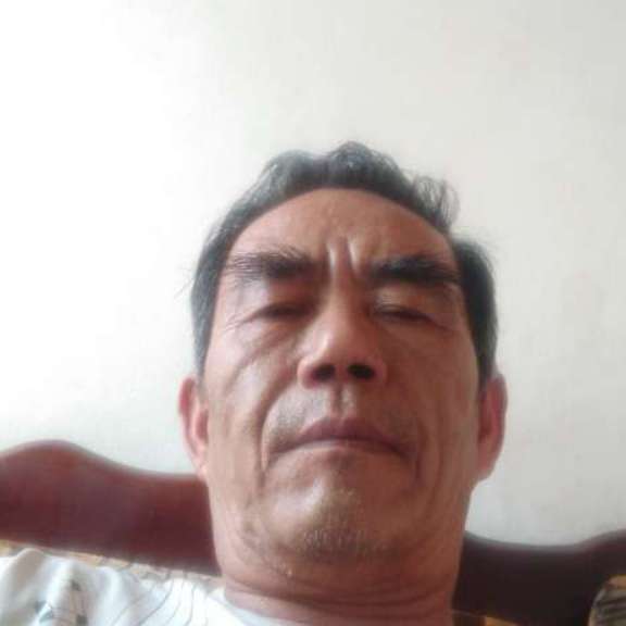 胡萝卜回首错落的照片