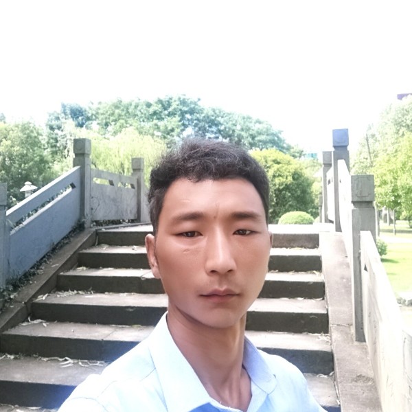 陶醉相许荷花的照片
