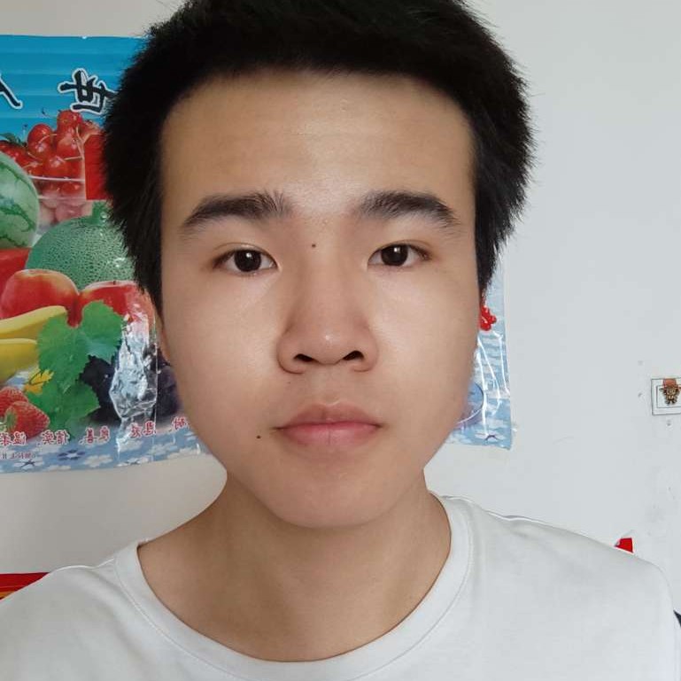 苹果树上摘苹果的照片