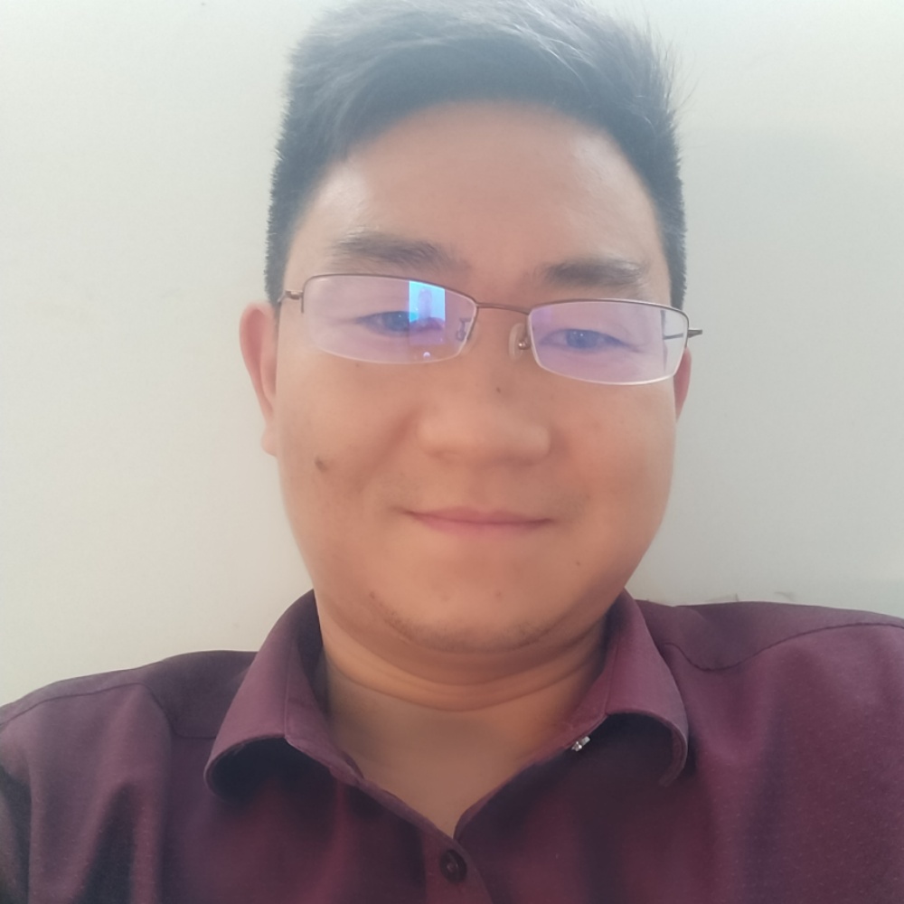 平常树叶的照片