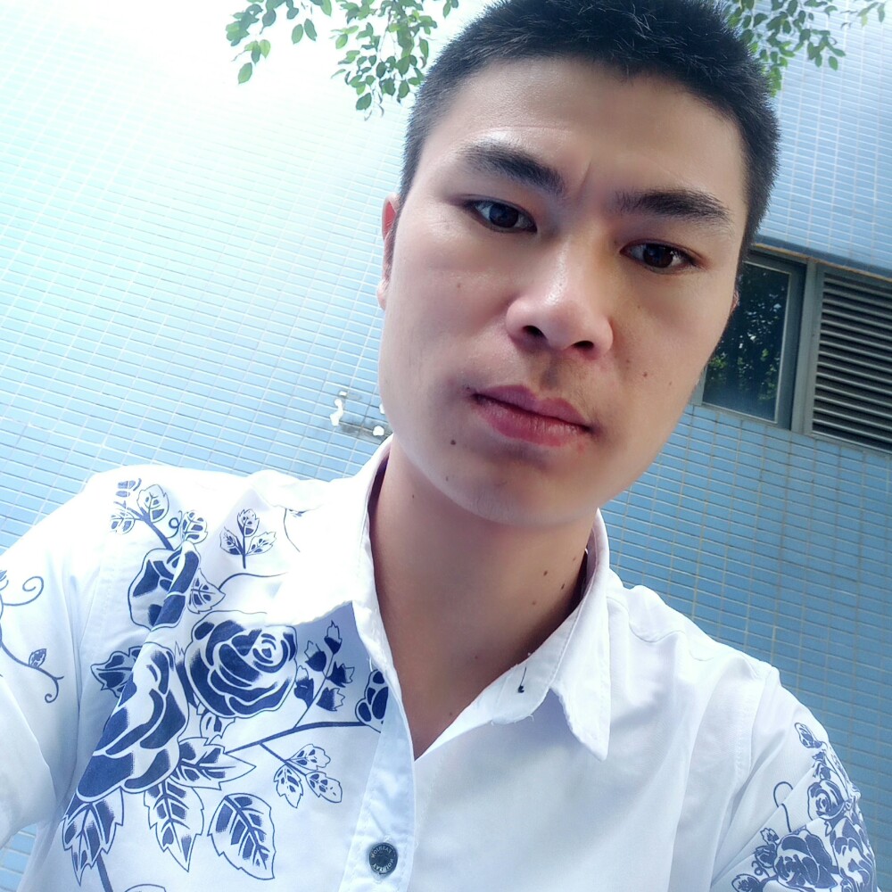 小鸭子玩命的照片