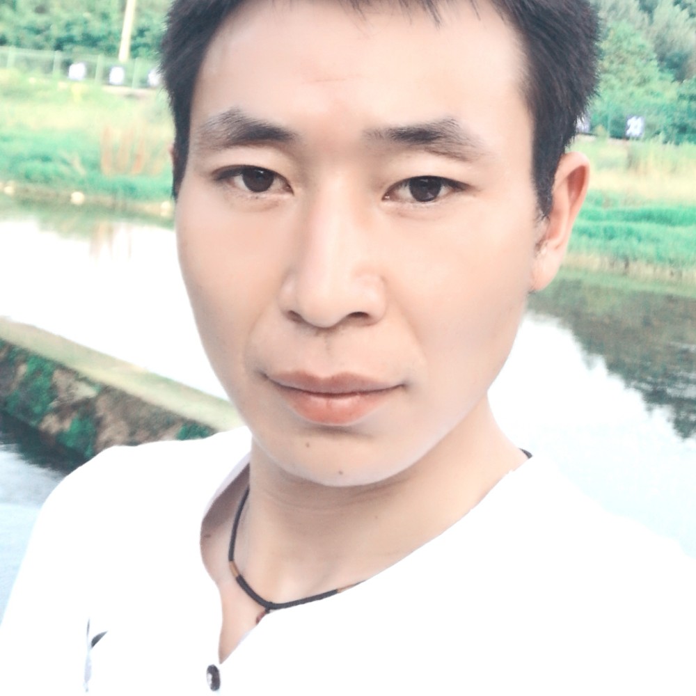 猎豹演变灼热的照片